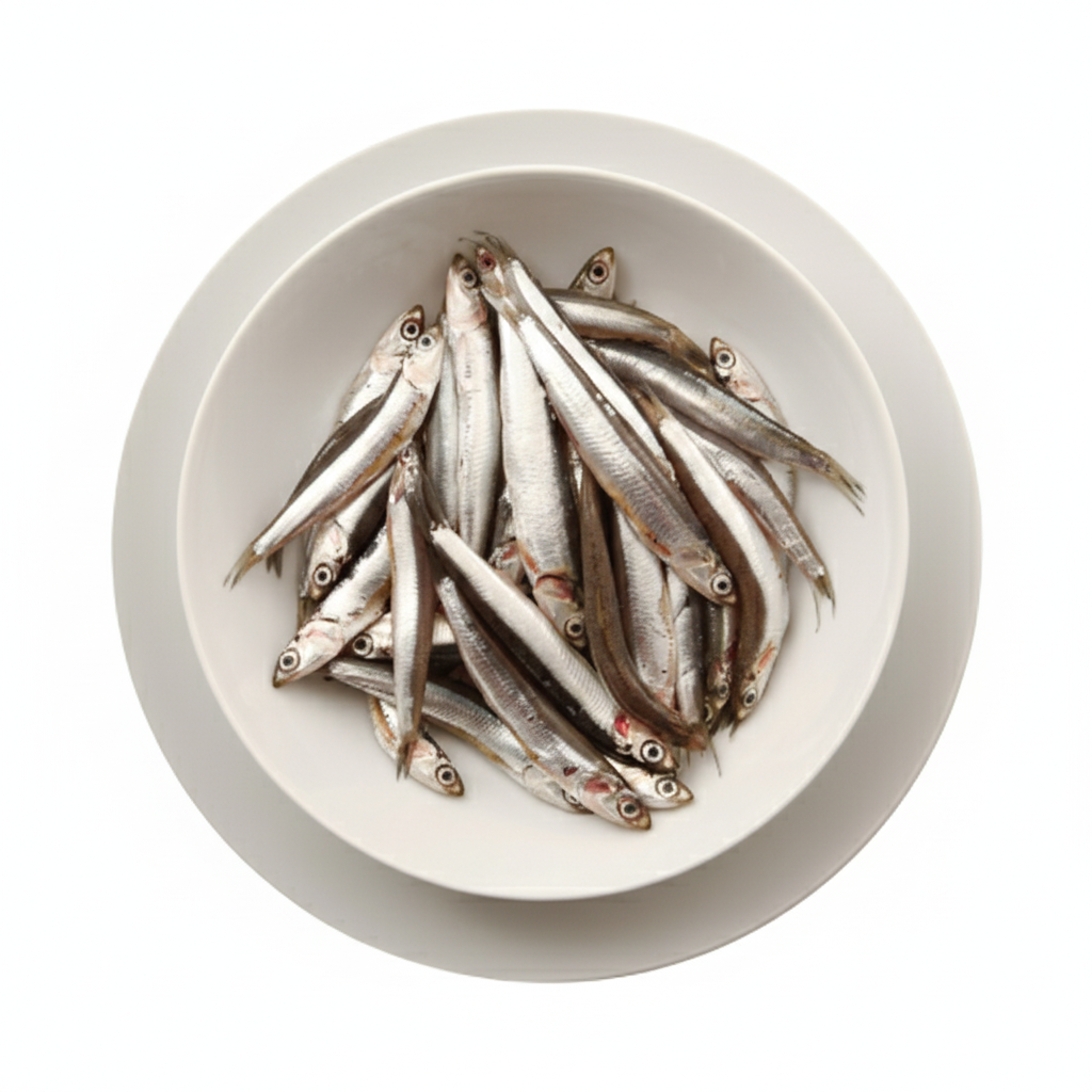 Anchovy/നെത്തോലി