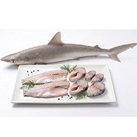 Milk Fish