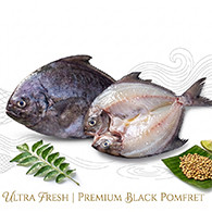 Black Promfet