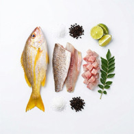Yellow snapper