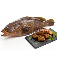 Brown Grouper
