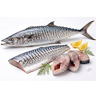 King Fish/നെയ്മീൻ