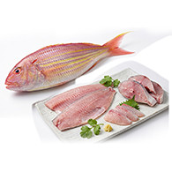 Threadfin Bream