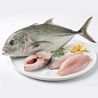 Gaint Trevally