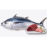 Tuna